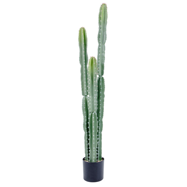 Size_Black Basic Pot 5ft