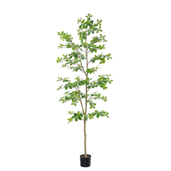 Faux Black Olive Tree 7ft, Tall Faux Trees Indoor with Natural Trunk and Realistic Leaves. 7 Feet(84in) Artificial Tree for Home Office Décor.