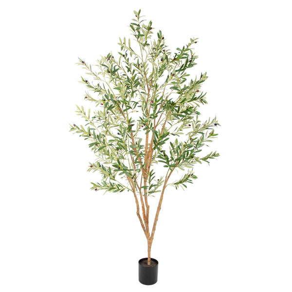 Sizes and Plants_8ft Basic Pot