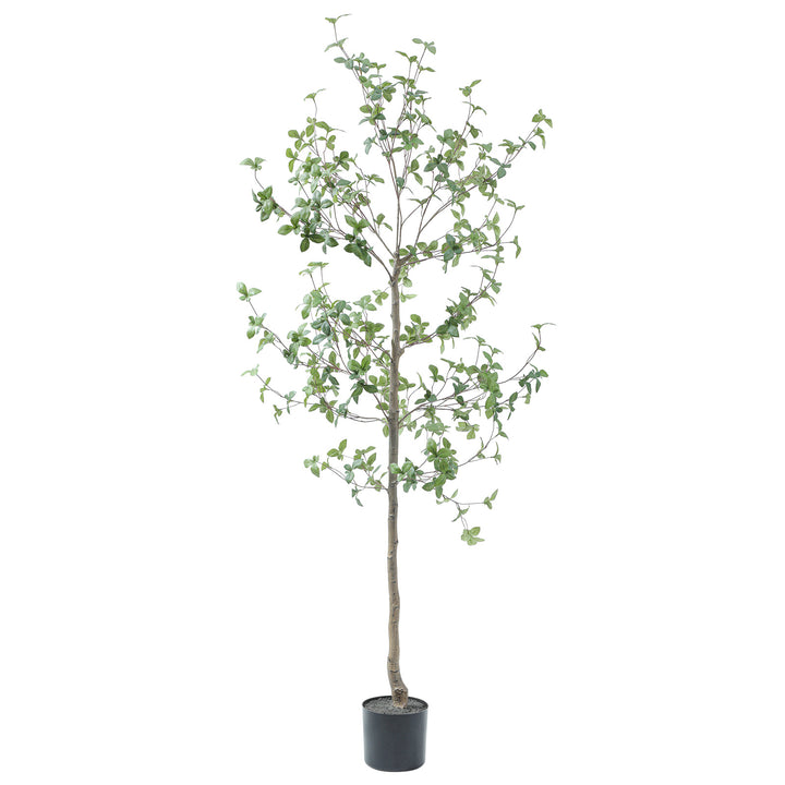 6ft/7ft Faux Quince Leaf Tree with Lifelike Leaves & Realistic Trunks, 72in Artificial Quince Leaf Tree for Garden, Home, Office, Porch, Balcony,Living Room Decor.